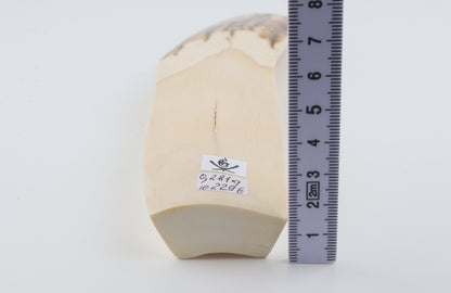 White-brown mammoth ivory piece