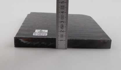 Stabilised mammoth molar scales