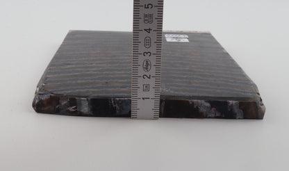 Stabilised mammoth molar scales