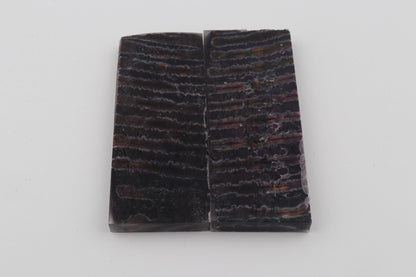 Stabilised mammoth molar scales