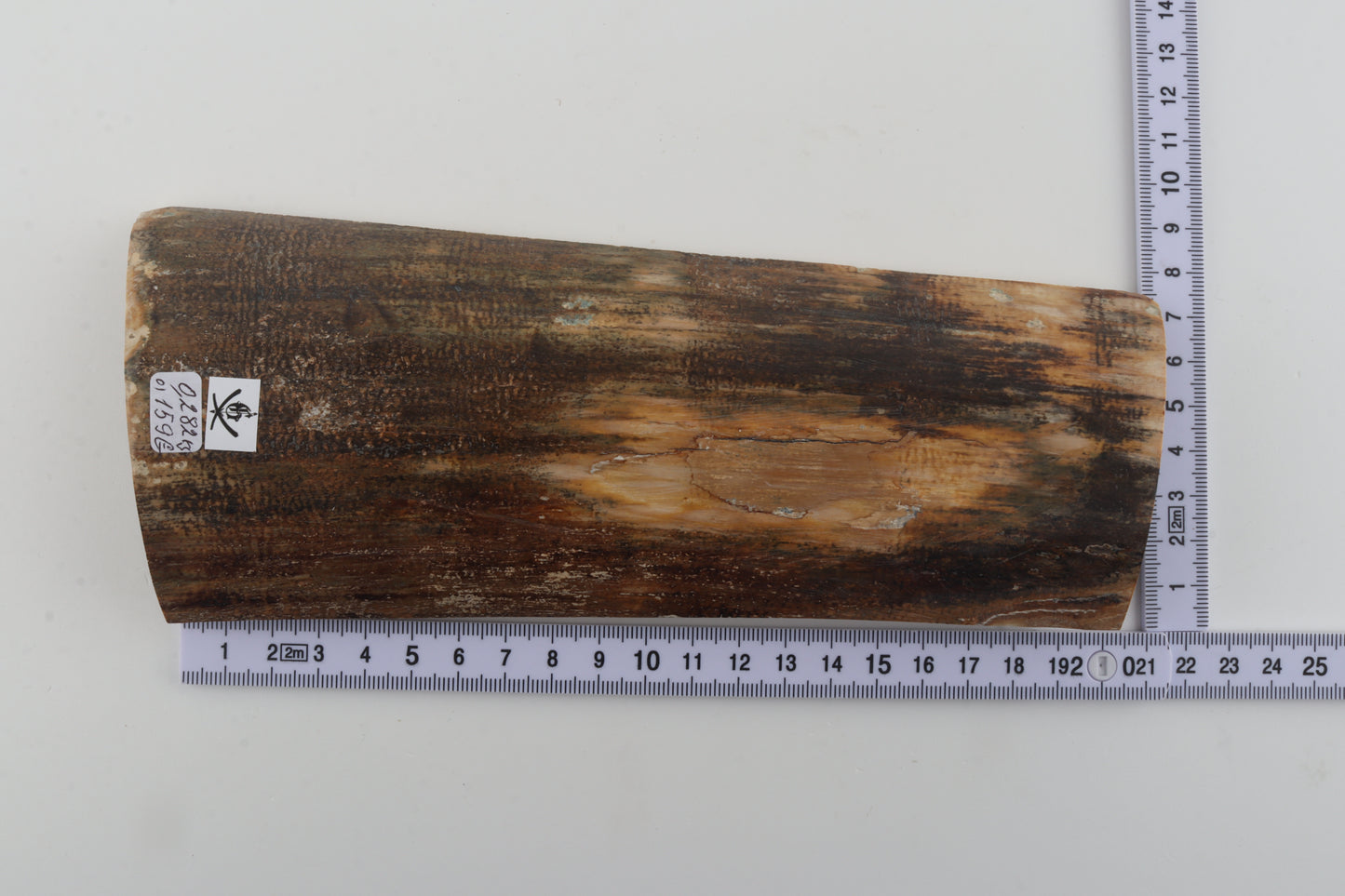 Natural mammoth bark