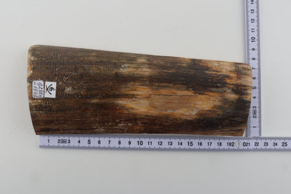 Natural mammoth bark