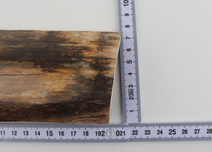 Natural mammoth bark