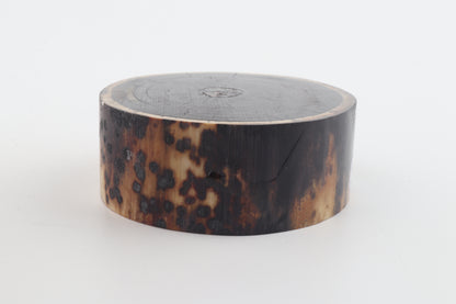 Stabilized mammoth ivory block