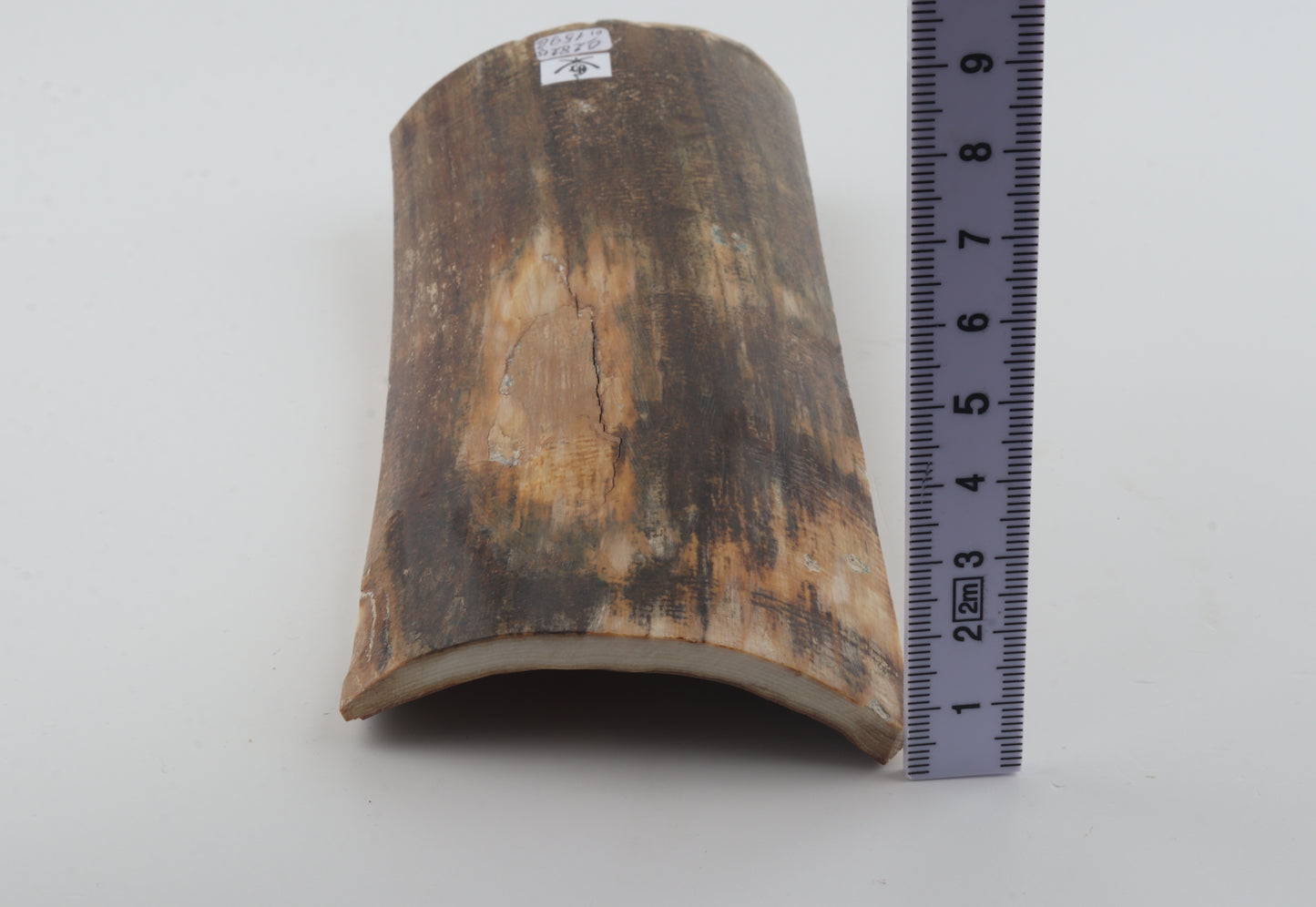 Natural mammoth bark