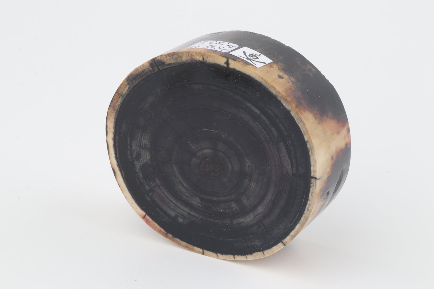 Stabilized mammoth ivory block
