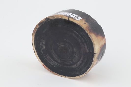Stabilized mammoth ivory block