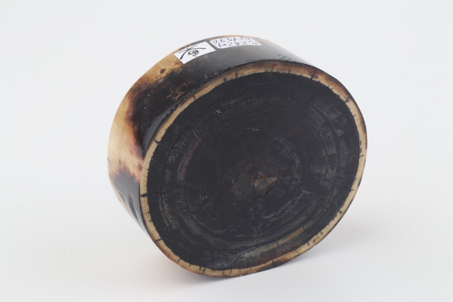 Stabilized mammoth ivory block
