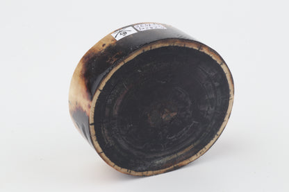 Stabilized mammoth ivory block