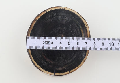 Stabilized mammoth ivory block
