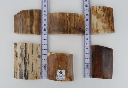 Natural mammoth bark pieces