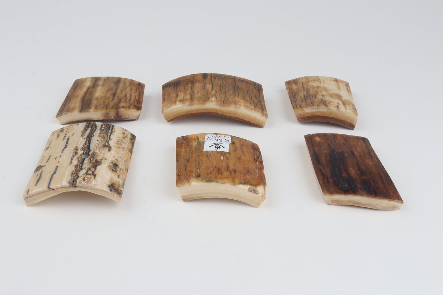 Natural mammoth bark pieces