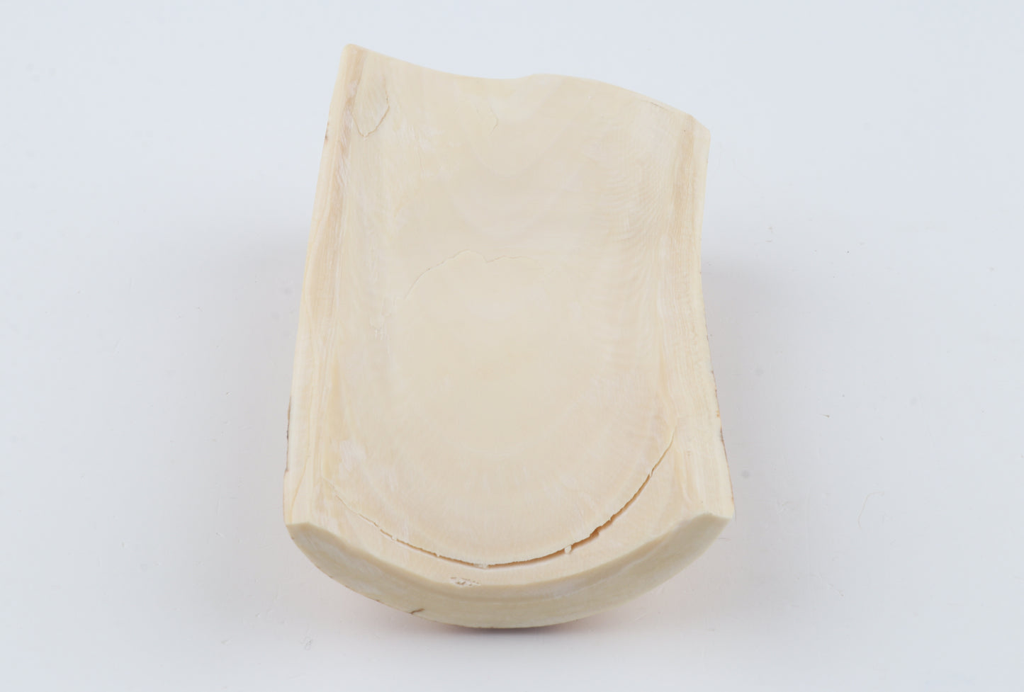 Woolly mammoth ivory piece