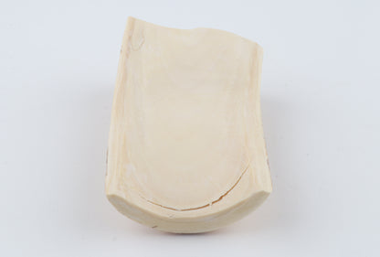 Woolly mammoth ivory piece