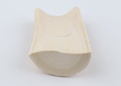 Woolly mammoth ivory piece