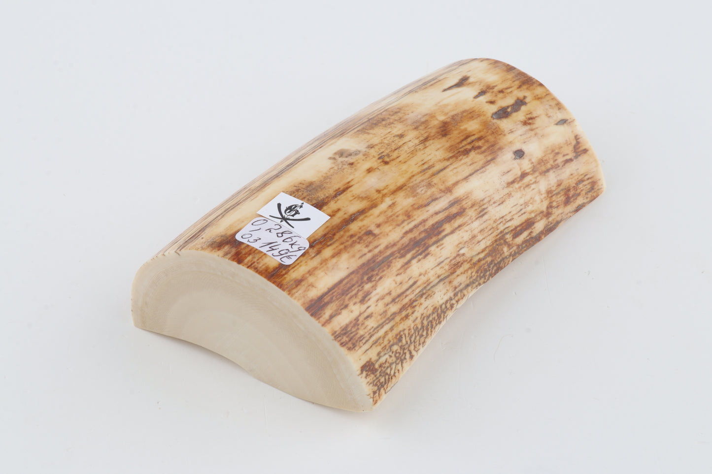 Woolly mammoth ivory piece
