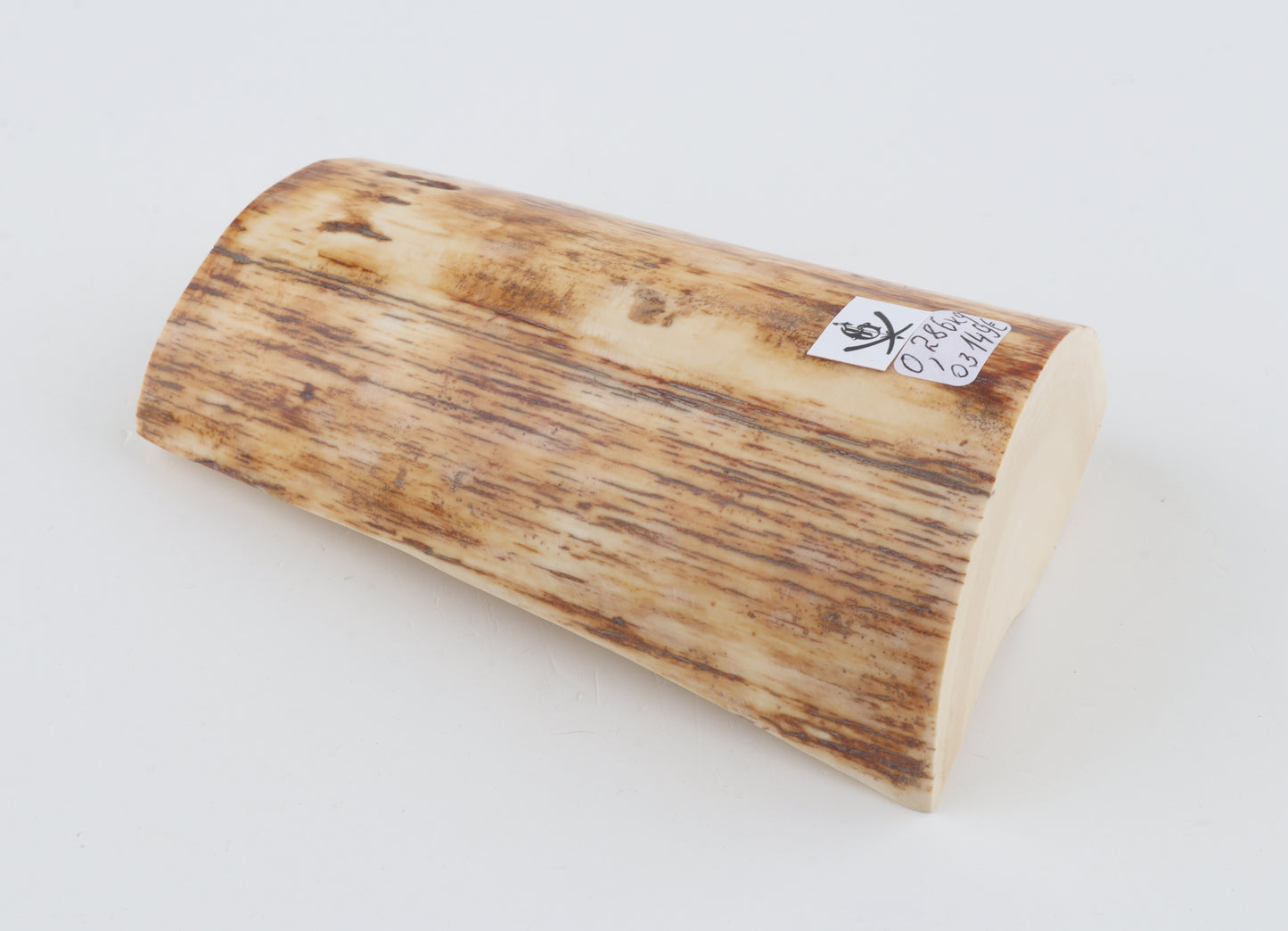 Woolly mammoth ivory piece