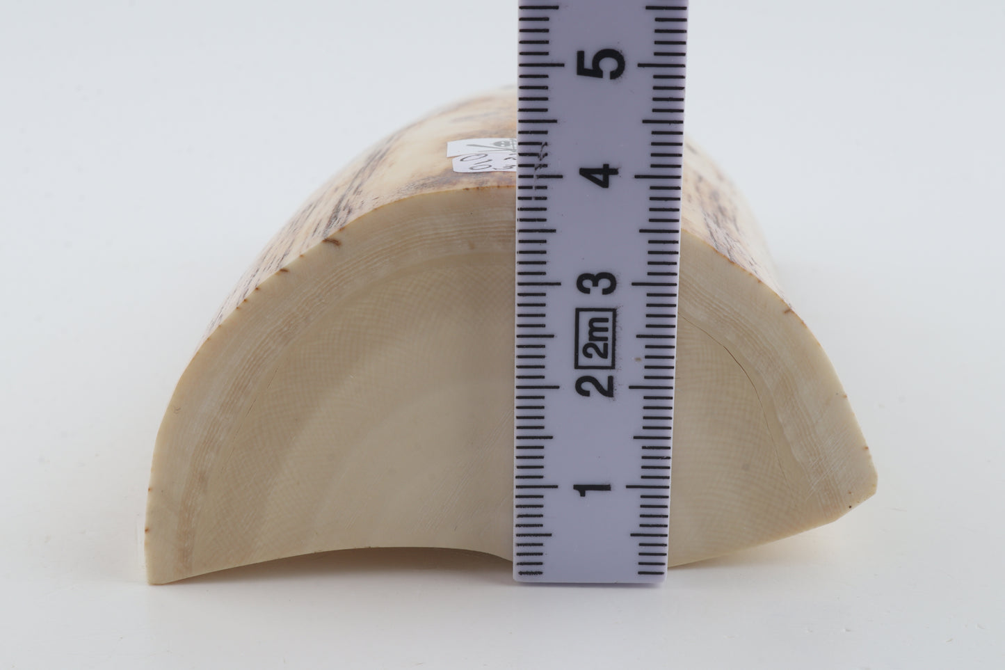 Woolly mammoth ivory piece