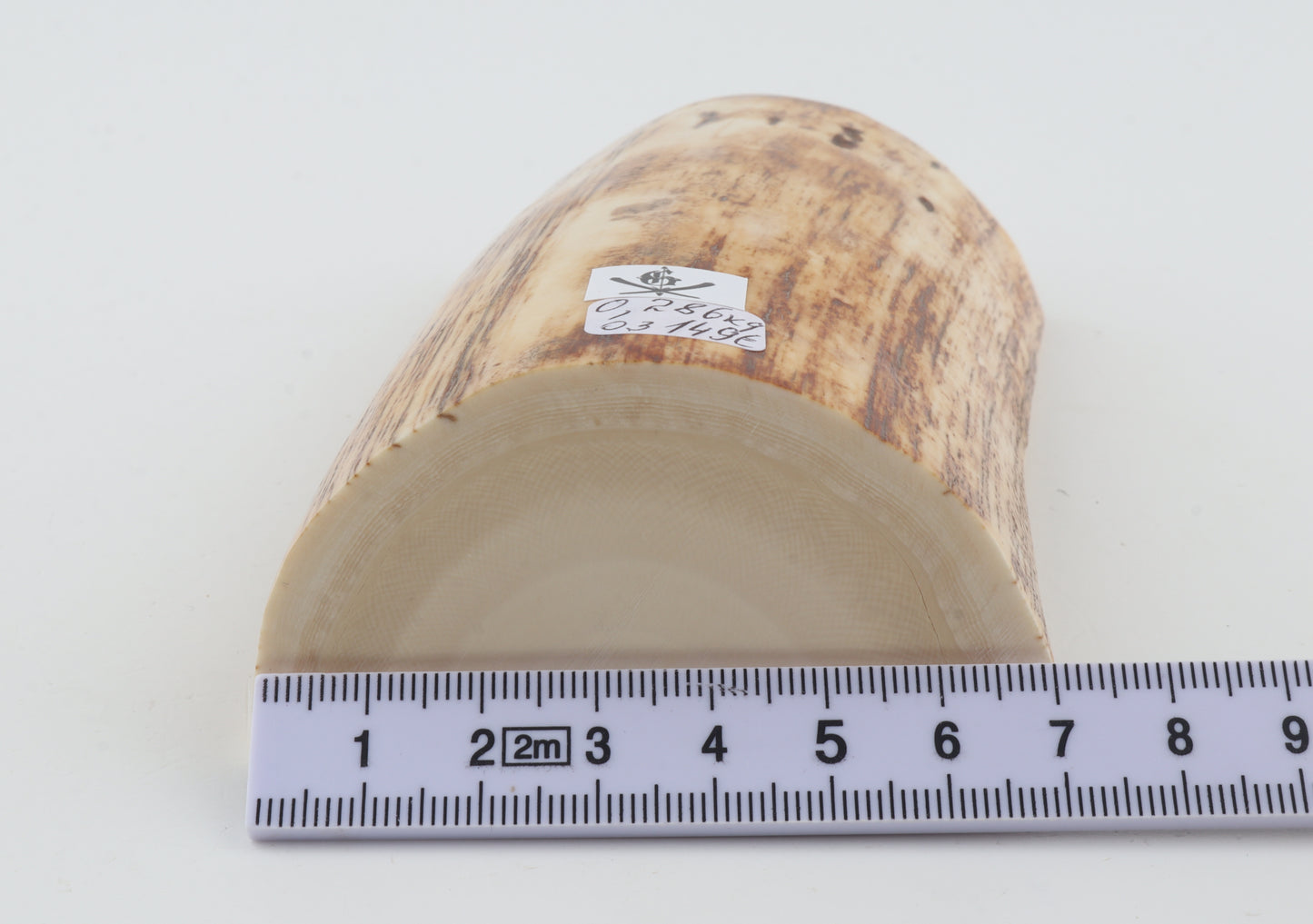 Woolly mammoth ivory piece
