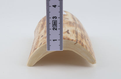Woolly mammoth ivory piece