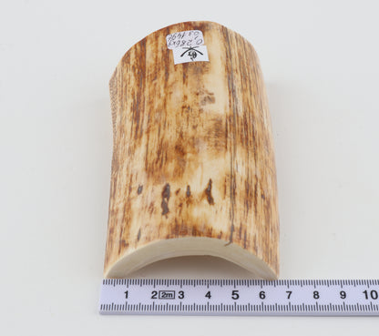 Woolly mammoth ivory piece