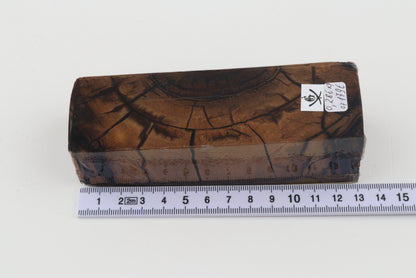 Stabilized mammoth ivory block
