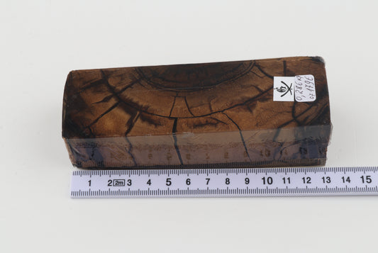 Stabilized mammoth ivory block