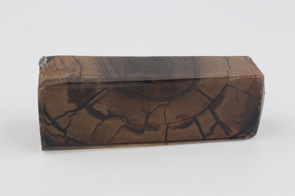 Stabilized mammoth ivory block