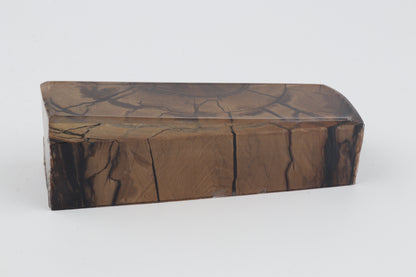 Stabilized mammoth ivory block