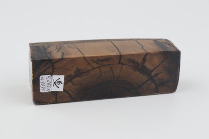Stabilized mammoth ivory block