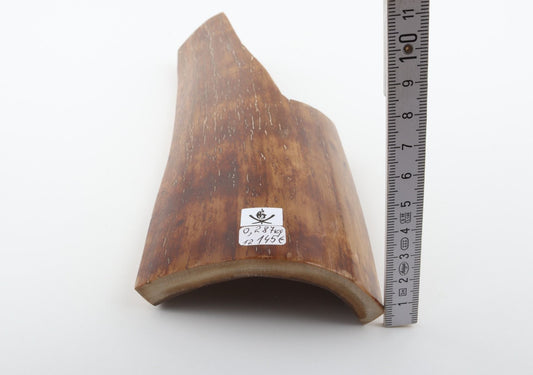 Brown-mustard mammoth bark