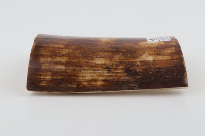 Brown-orange mammoth bark