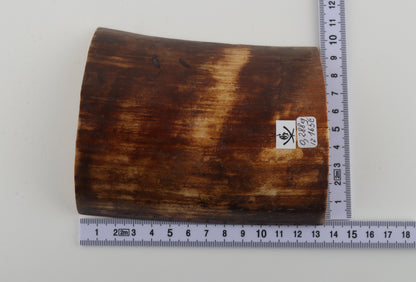 Brown-orange mammoth bark