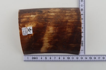 Brown-orange mammoth bark