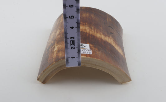 Brown-orange mammoth bark