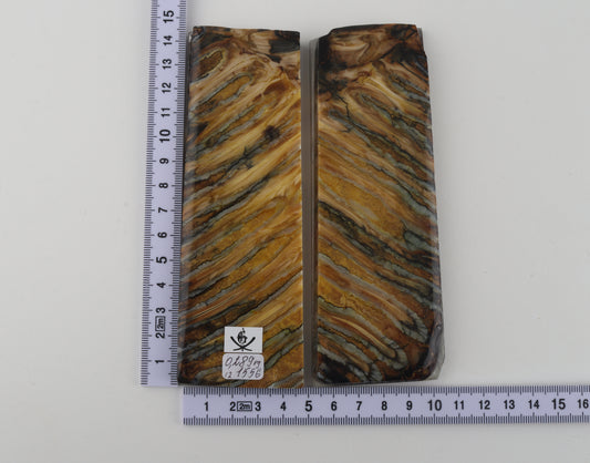 Stabilised mammoth molar scales