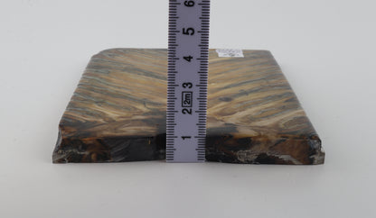 Stabilised mammoth molar scales