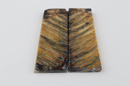 Stabilised mammoth molar scales