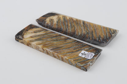 Stabilised mammoth molar scales