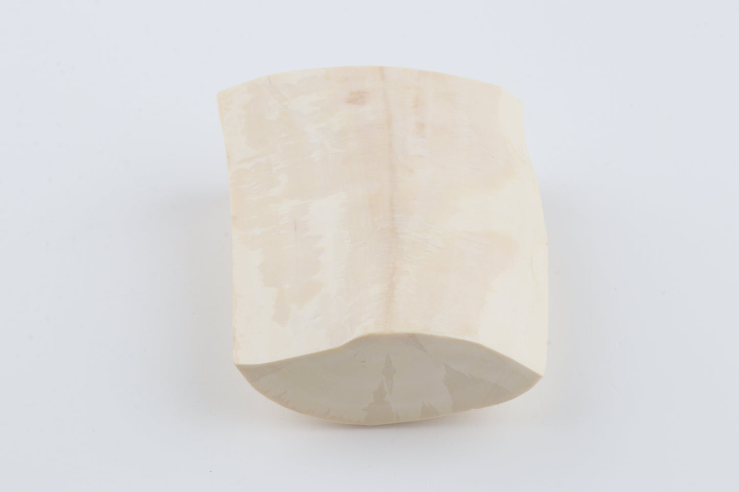 White mammoth tusk piece