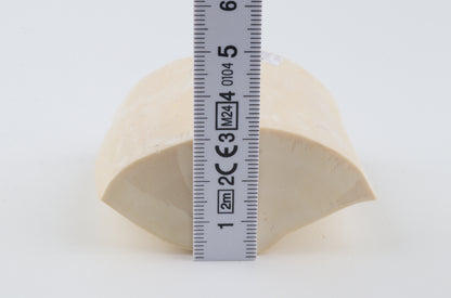 White mammoth tusk piece