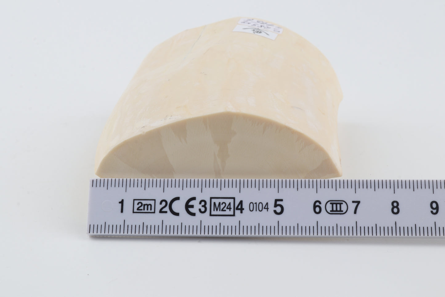 White mammoth tusk piece