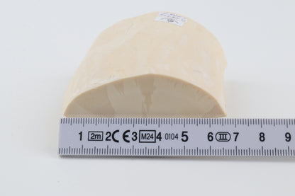 White mammoth tusk piece