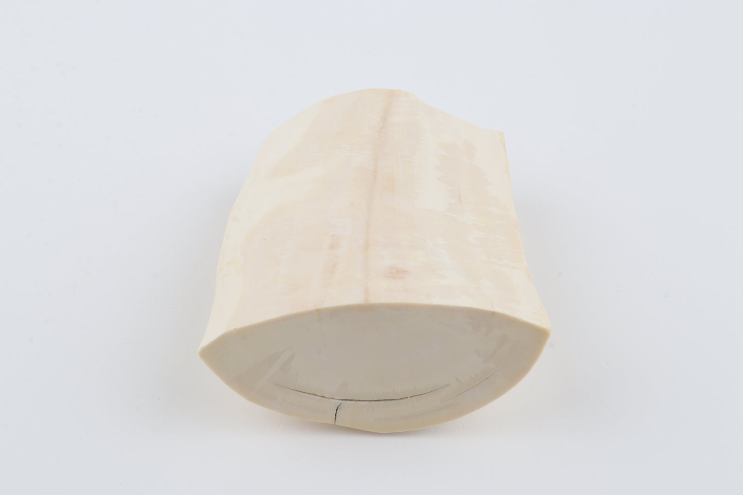 White mammoth tusk piece