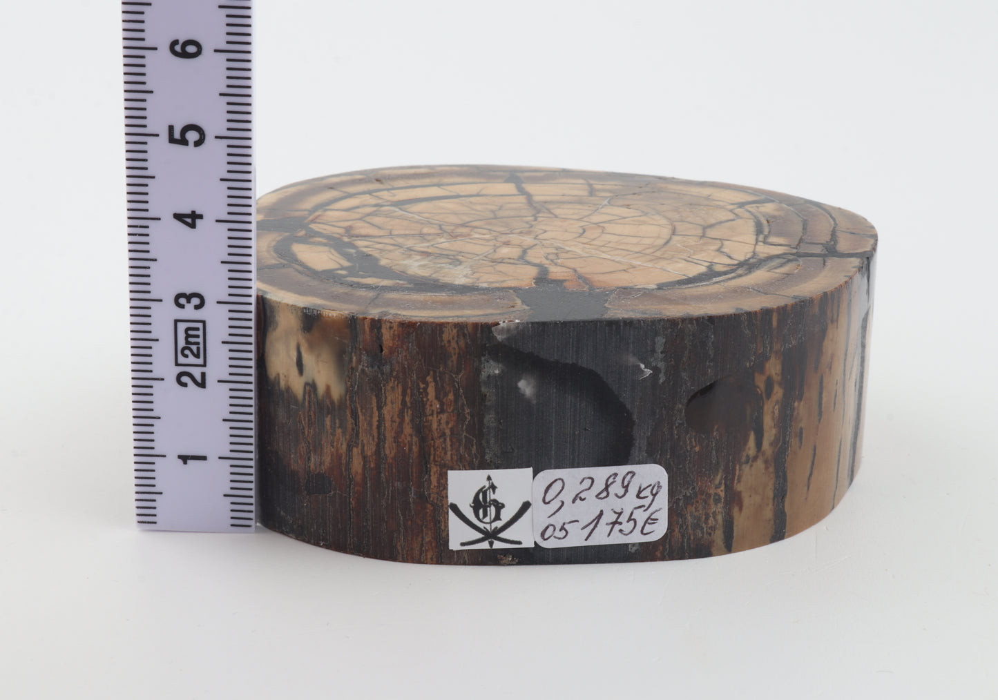 Stabilized mammoth ivory block