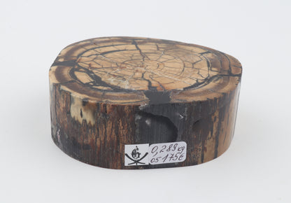 Stabilized mammoth ivory block