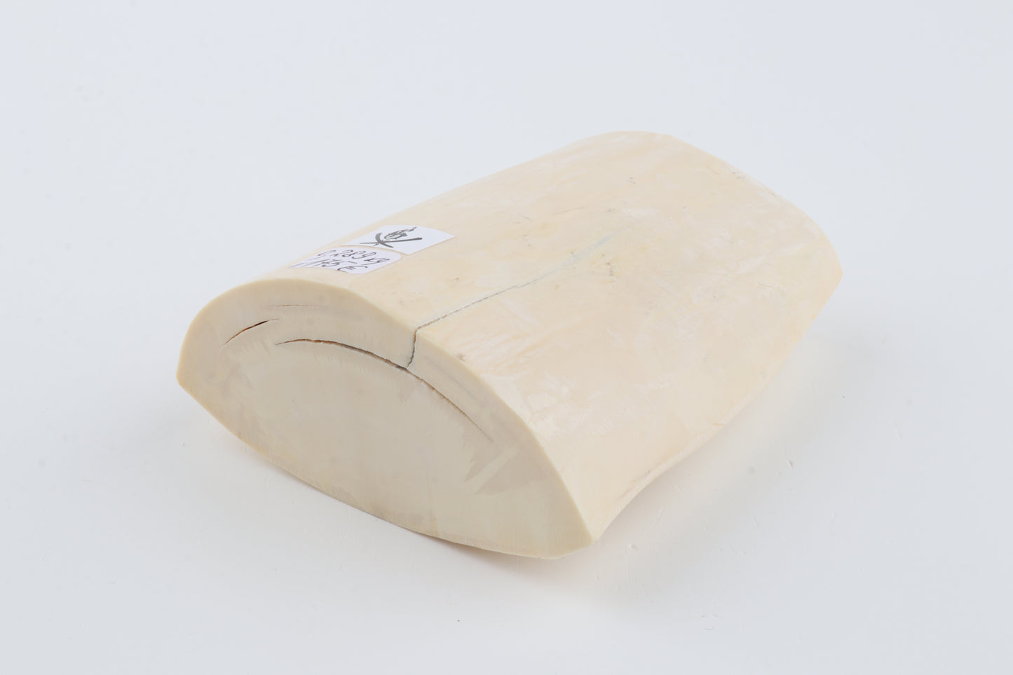 White mammoth tusk piece