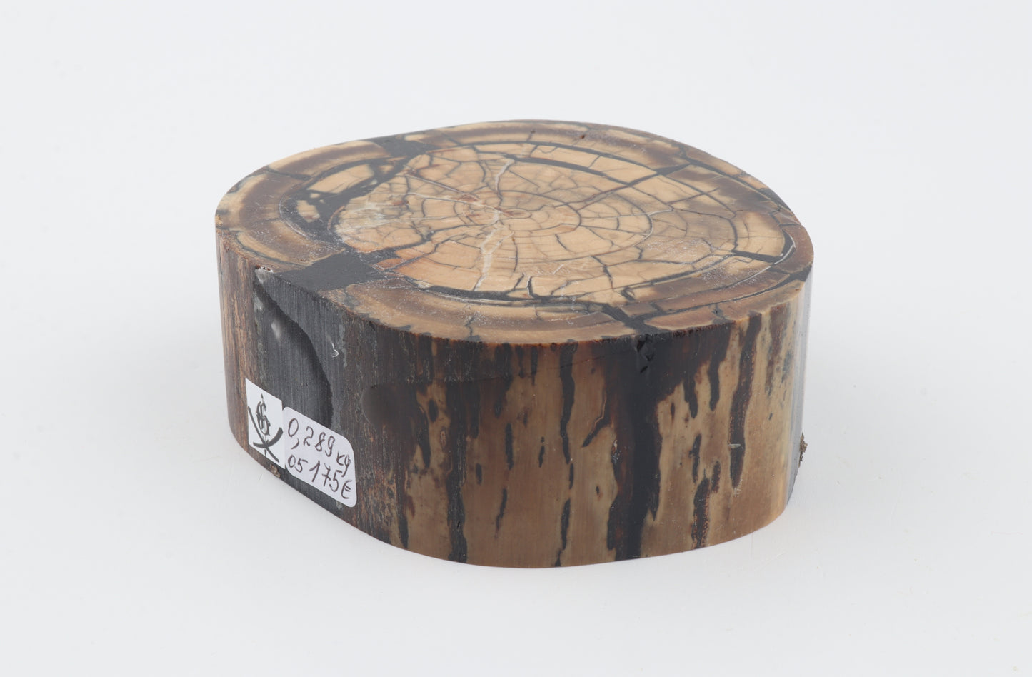 Stabilized mammoth ivory block