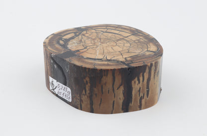 Stabilized mammoth ivory block
