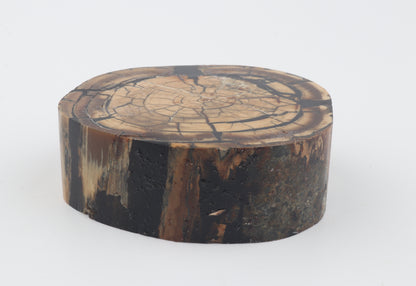 Stabilized mammoth ivory block